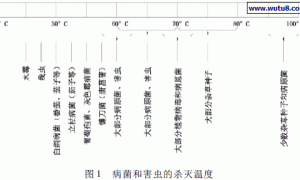 无土栽培基质蒸汽消毒机研究与应用