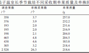 茄子嫁接及日光温室长季节栽培技术