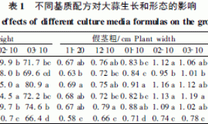 大蒜无土栽培有机和混合基质配方筛选