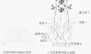 两种不同桶式无土栽培新装置在番茄栽培上的应用研究
