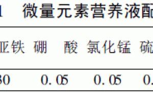 无土栽培之不同基质的比较研究