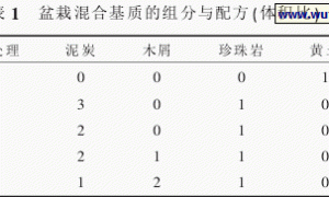 茶花无土盆栽基质研究