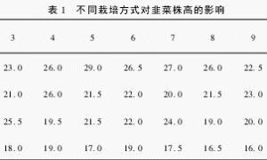 不同栽培方式对韭菜生产的影响