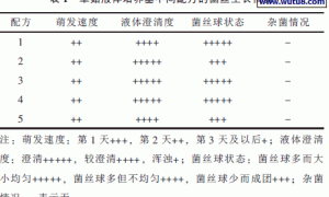 草菇工厂化液体菌种制作与出菇试验