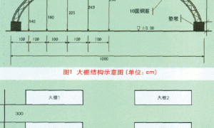 董志塬全钢架早春塑料大棚设计与建造