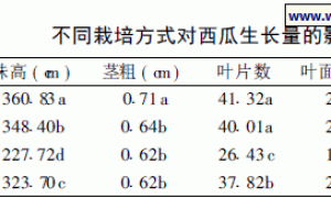 槽式有机基质栽培方式对西瓜生理特性,产量及品质的影响