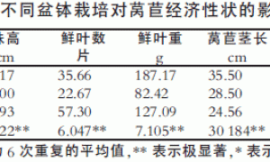 侧腰开孔盆钵无土栽培莴苣效果研究