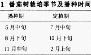 番茄树无土栽培设施及配方施肥栽培技术研究