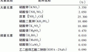 芳香蔬菜罗勒高效无土栽培技术
