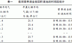 黄瓜深液流(DFT)无土栽培根呼吸