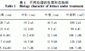 不同基质及供养方式对生菜立体无土栽培生长的影响