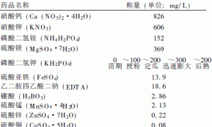 大棚洋香瓜无土栽培及病虫防治技术的应用
