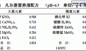 小苍兰无土栽培的基质选择