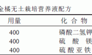 金橘无土栽培技术