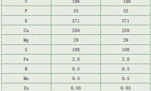 水培丝瓜及蛇瓜的栽培技术