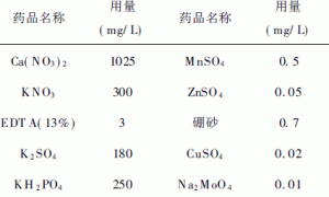 水培马蹄莲栽培技术研究