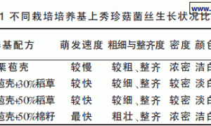 板栗苞壳栽培秀珍菇试验初报