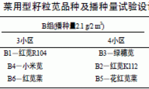 菜用型籽粒苋高产栽培技术研究