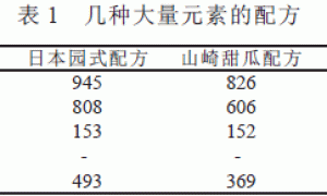 秋季网纹甜瓜无土栽培技术