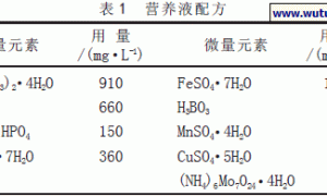 海南厚皮甜瓜无土栽培技术
