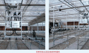 双臂双轨全自动施肥喷灌机的特点