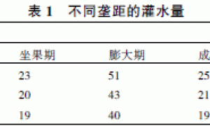 厚皮甜瓜宽垄栽培的节水效应