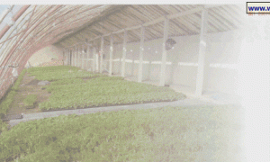 塔城地区日光温室结构优化设计