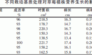草莓无土栽培基质筛选研究
