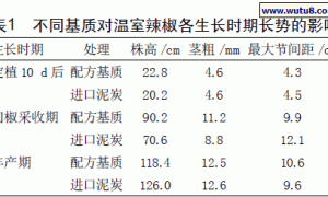不同基质对温室辣椒无土栽培效果的研究