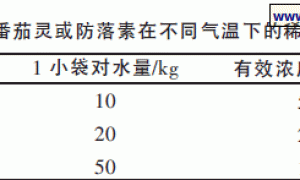 番茄覆膜高垄滴灌全价营养液栽培技术