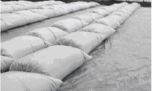 温室番茄袋式无土栽培技术