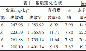 辣椒有机生态型无土栽培本土化集成技术研究