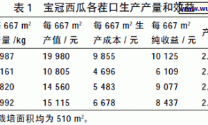 小型西瓜有机生态型无土栽培一年三熟生产技术
