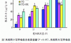 有机无机生态型基质在小白菜无土栽培上的应用效果研究