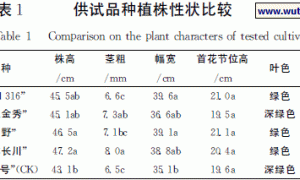 设施无土基质栽培辣椒品种比较试验