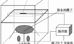 海南设施厚皮网纹甜瓜安全高产栽培技术