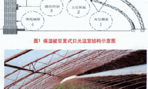 蓟春型保温被双置式日光温室结构与性能