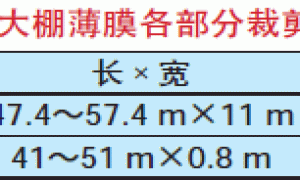 苏南地区高标准周年利用大棚设计安装及使用技术