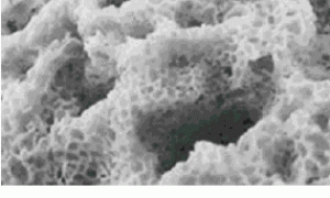 无土栽培基质亲水性聚氨酯泡沫制备及其理化性质