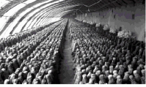 京郊设施香菇栽培关键技术