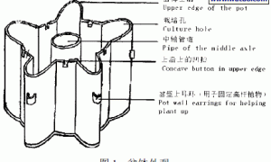 立柱和柱式无土栽培系统及其在生菜栽培上的应用