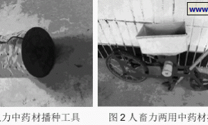 运城市中药材生产机械化现状与发展对策