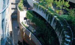 无土栽培种植实现轻型屋顶绿化