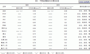 高温型平菇品比筛选试验