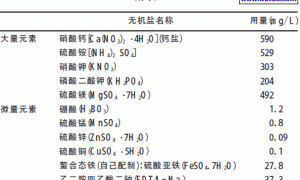 苔藓培铁线蕨无土栽培技术