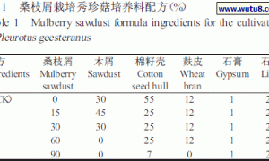 桑枝屑栽培秀珍菇高产配方试验