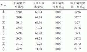 棉柴栽培杏鲍菇试验