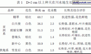 百合引种栽培试验