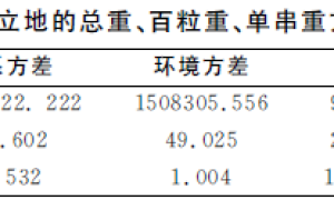 北五味子不同栽培方式试验分析