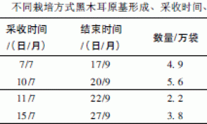 黑木耳套种糖槭栽培模式试验